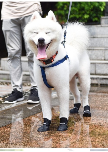 Silikon Köpek Ayakkabı S Beden
