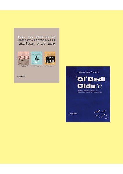 Tasavvuf Terapi 2'li Kitap Seti