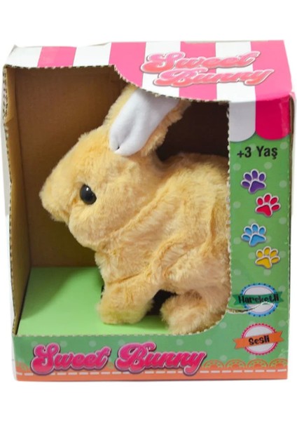 Pilli Tavşan Peluş