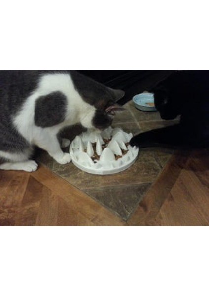 Bowl Kedi Köpek Yavaş Mama Yeme Kabı Organik Plastikten modelleri