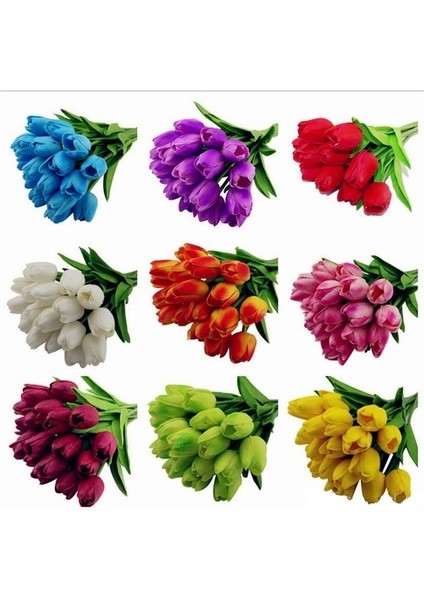 10'lu 10 Farklı Renk Mix Tulip Seed Lale Tohumu + 10'lu Kırmızı Küpe Çiçek Tohumu