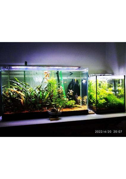 PLANT Full Spectrum 4 Renk Akvaryum Aydınlatma 110 CM indirimleri