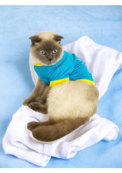 Hediye Paketli, Anneye Hediye, Love Mom Blue, Oval Yaka Tişört Kedi Kıyafeti,elbisesi Anneler Günü, Anneye, Anne fiyatları