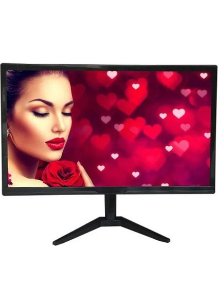 Q19HTW 19" 60HZ 3Ms (VGA/HDMI) 1440 x 900 Monitör