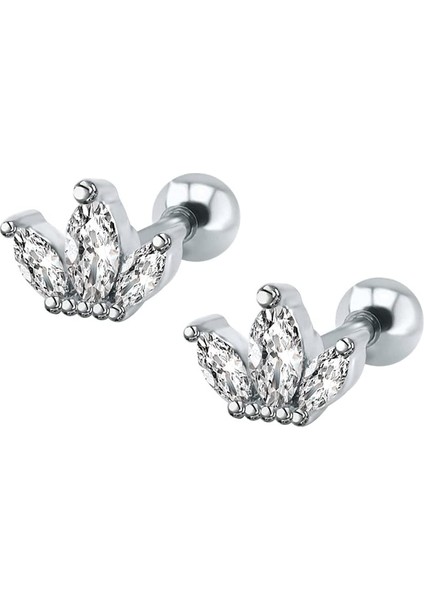 Çelik Kıkırdak Helix Tragus Piercing (1AD)