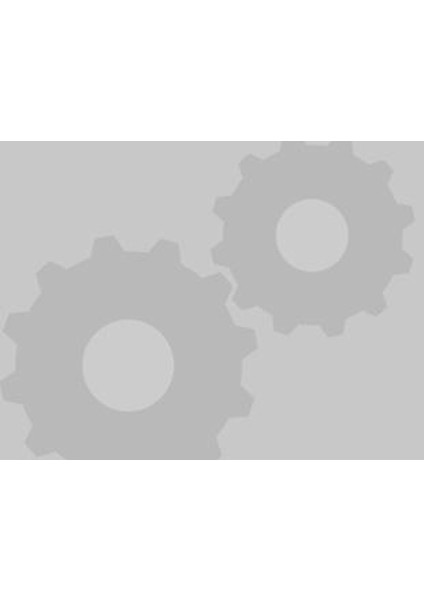 Bre Pettis Openscad Madalyası, Şimdi Metinle Plastik Aparat modelleri