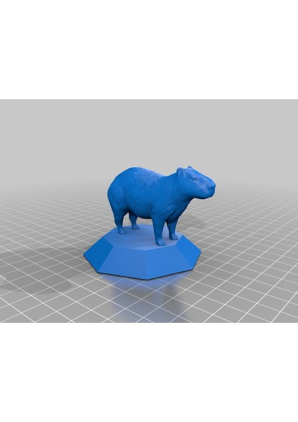 Capybara Standında Plastik Aparat