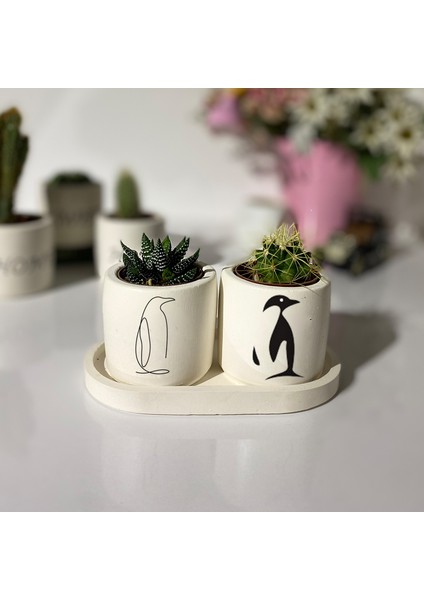 Tabaklı Penguen El Çizimi Dekoratif Kalemlik ve Ya Saksı Seti (Çiçeksiz)