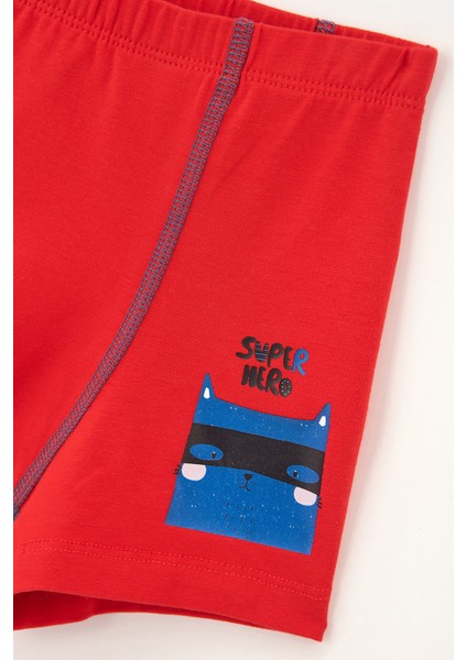 EC2002 Compt. Lyc. Super Hero Bask. Boxer modelleri