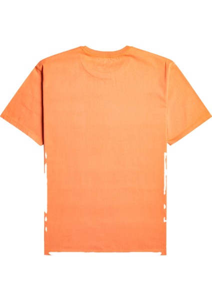 Arch Erkek T-shirt EBYKT00101 fiyatları