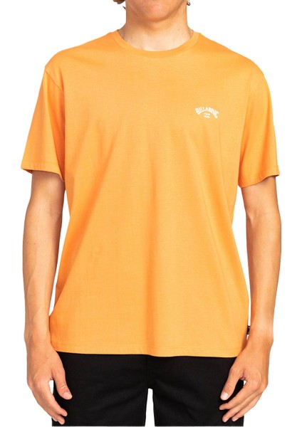 Arch Erkek T-shirt EBYKT00101 modelleri