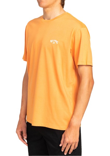 Arch Erkek T-shirt EBYKT00101 indirimleri