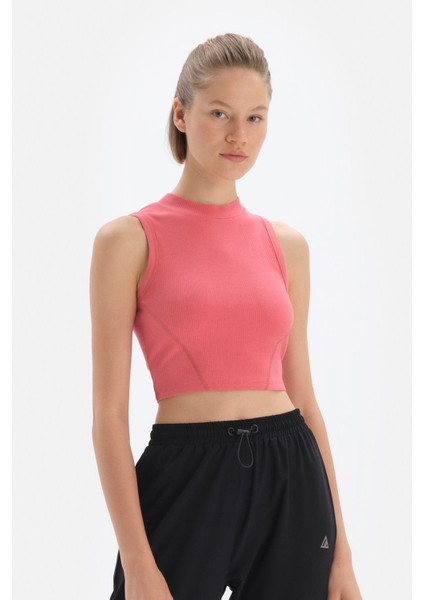 Kiremit Bisiklet Yaka Kolsuz Atlet fiyatları