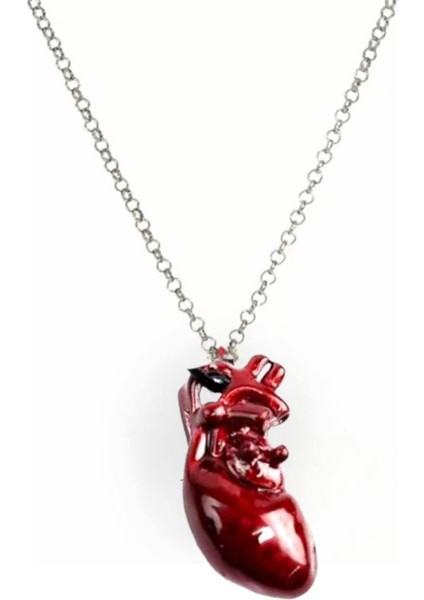 Kalp Kardro 3 Boyutlu Paslanmaz Çelik Kolye