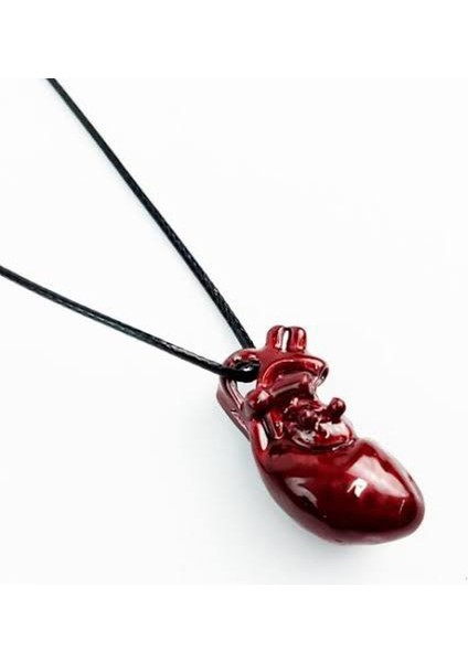 Kalp Kardro 3 Boyutlu Paslanmaz Çelik Kolye fiyatları