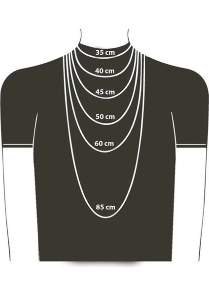 Taşlı Gitar Paslanmaz Çelik Kolye fiyatları