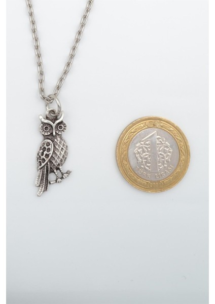 Baykuş Kolye 925 Ayar Gümüş Kaplama Kadın Erkek fiyatları