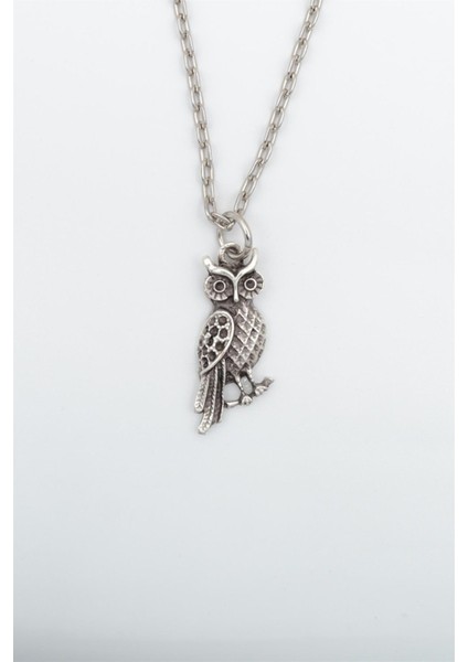 Baykuş Kolye 925 Ayar Gümüş Kaplama Kadın Erkek modelleri