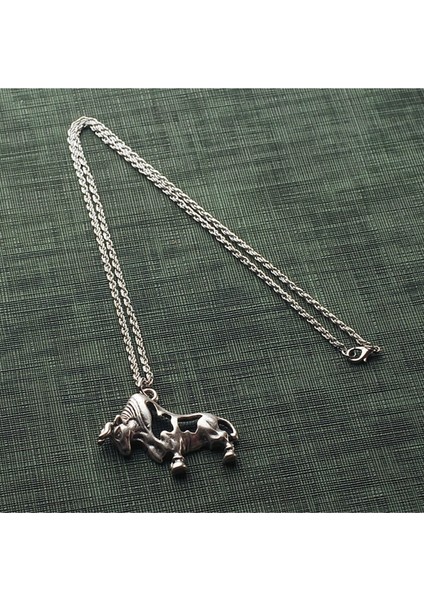 Boğa Kolye fiyatları