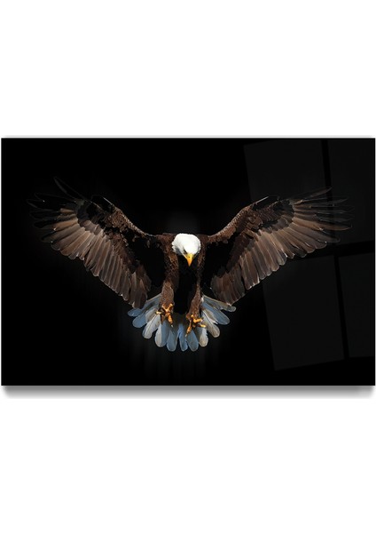 Kartal Cam Tablo fırsatları