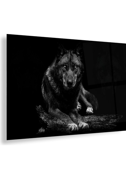 Kurt Cam Tablo fiyatları