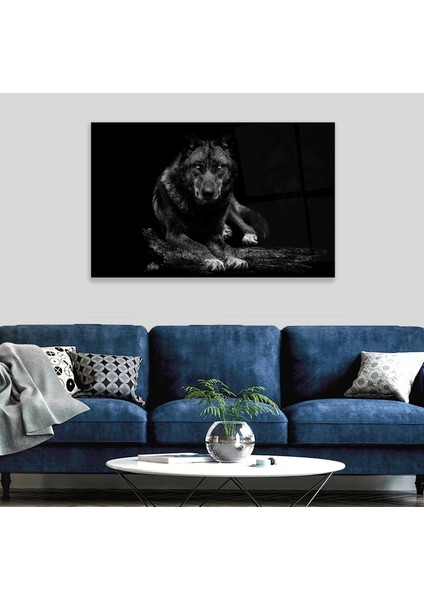 Kurt Cam Tablo modelleri