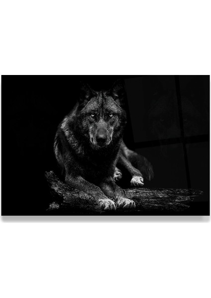 Kurt Cam Tablo fırsatları