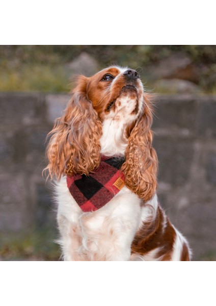 Ekoseli Köpek Bandanası (S - M - L Beden) Kırmızı