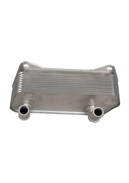 Golf Jetta Caddy Şanzuman Yağ Soğutucu 2004-2013 [behr] [02E409061B]