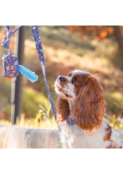 Lusi Doog Köpek Gezdirme Kayışı Lacivert Çiçek Desenli (2 Beden)