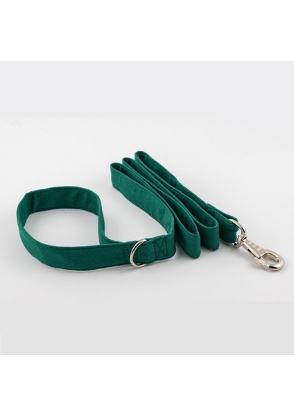 Köpek Gezdirme Kayışı - Yeşil (2 Beden) fiyatları