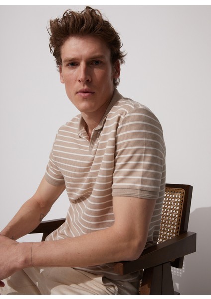 Polo T-Shirt, L, Vizon modelleri