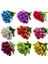 10'lu 10 Farklı Renk Mix Tulip Seed Lale Tohumu + 10'lu Kırmızı Küpe Çiçek Tohumu 1
