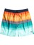 All Day Htr Stripe Lb Renkli Erkek Deniz Şortu EBYJV00103-MNT 1