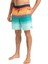 All Day Htr Stripe Lb Renkli Erkek Deniz Şortu EBYJV00103-MNT 5