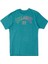 Arch Fill Erkek T-shirt ABYZT01696 2