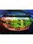 Meta 3 Sıra LED 4 Renk Fullspectrum 130 cm 1