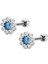 Çelik Mavi Taşlı Kıkırdak Helix Tragus Piercing[1 Adet] 1
