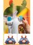 Bee Diller Tritan Pipetli Su Matarası 400ML T4015 Beyaz 4