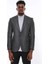 Kendinden Desenli Füme Slim Fit Ceket 3