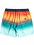 All Day Htr Stripe Lb Renkli Erkek Deniz Şortu EBYJV00103-MNT 2