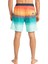 All Day Htr Stripe Lb Renkli Erkek Deniz Şortu EBYJV00103-MNT 4