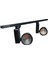 Philips Ledli 30W Monofaze 2 Ad Siyah Ray Spot 12CM+1M Ray 1