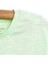 Dino Party Tshirt-Şort Takım Erkek Bebek 3