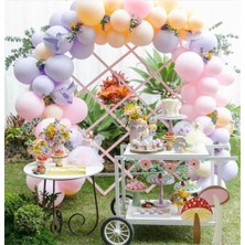 Eğlence Marketi Makaron Lila Pembe Somon Temalı Balon ve Balon Zincir
