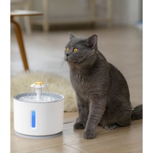 Kamardey Pet Kedi Köpek Için Otomatik Su Pınarı Su Çeşmesi Su Sebili 2.4 Lt USB ile Çalışır