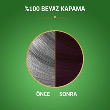 Wella Koleston Naturals 3/66 Kızıl Kestane