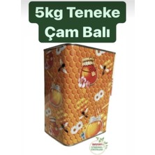 Baştan Yöresel 5kg Teneke Yayla Çam Balı