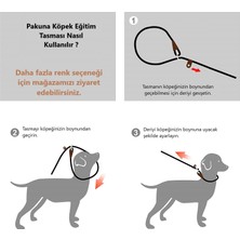 Pakuna Köpek Eğitim Tasması, Ayarlanabilir Boğma Tasma, Renkli Köpek Tasması 55 cm