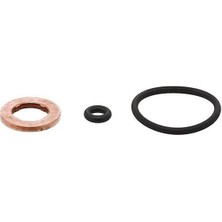 Elring Polo Golf6 Jetta Passat Caddy A3 Leon Octavia Enjektör Tamir Takımı 10- [] [03L198051]